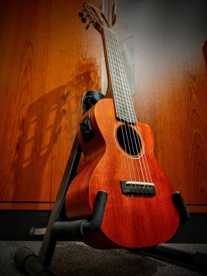 Gretsch 273-0047-321 3